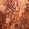 BRECCIA PERNICE SCURA